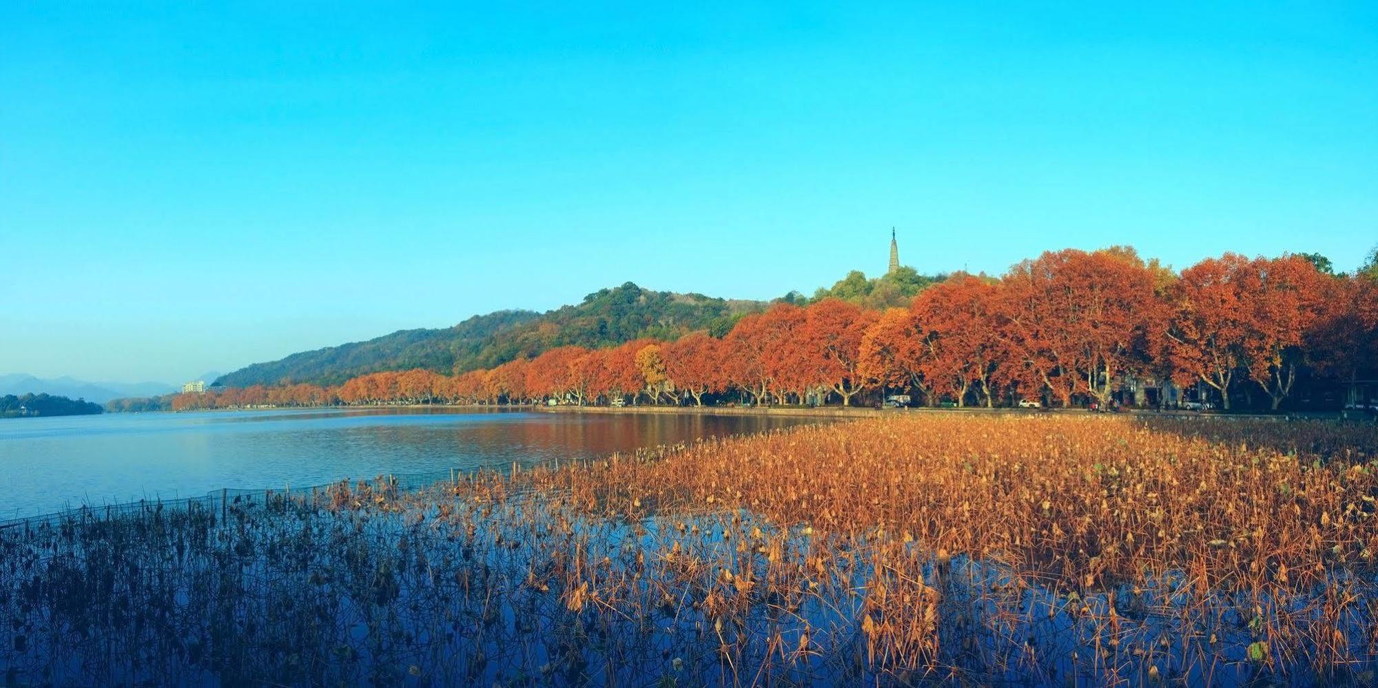 Four Points By Sheraton Hangzhou, Binjiang מראה חיצוני תמונה